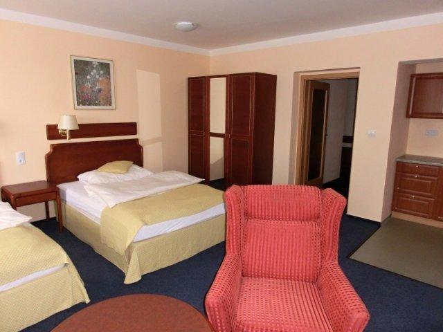 Penzion Mova Kadan Room photo